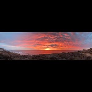 Meet your Posher, Pearl